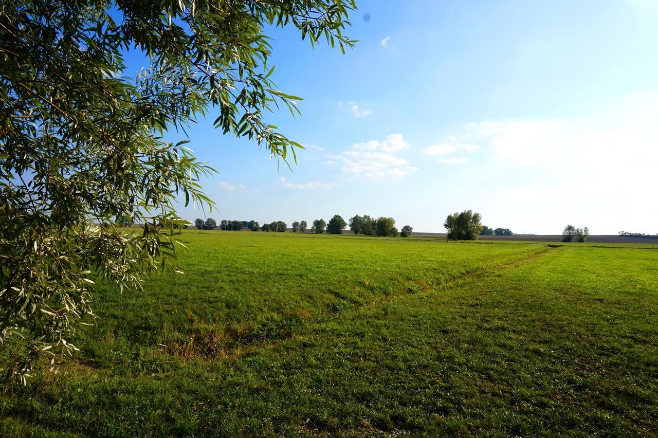 Windelsbach Gasthaus Zur Krone מראה חיצוני תמונה